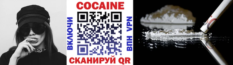 Купить закладки  Олёкминск  Cocaine FishScale 